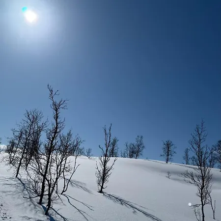 Vakantiehuis Idyllic *
